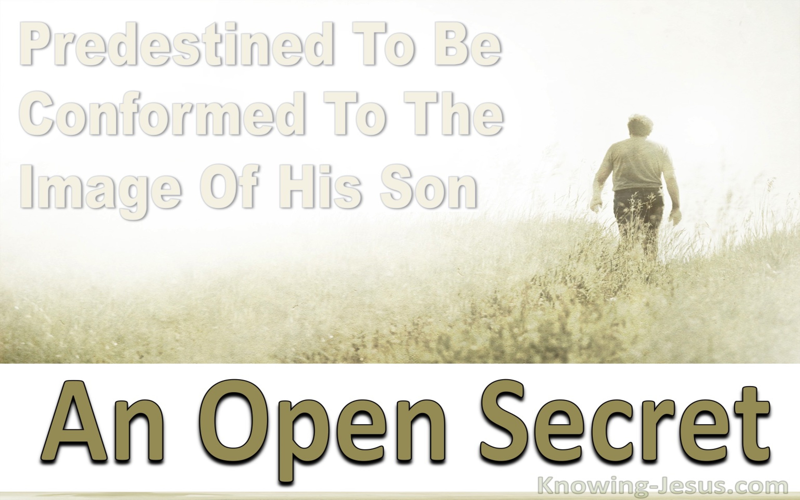 Roman 8:29 An Open Secret (devotional)06-19 (sage)